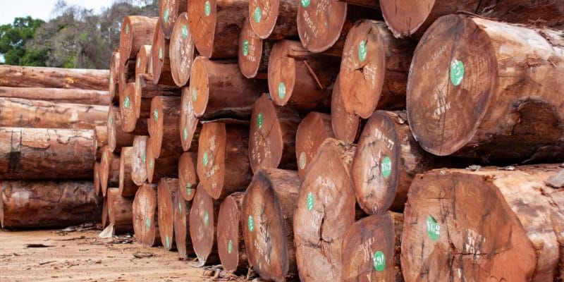  Afrique -Gabon : Premier producteur de bois en zone Cemac.