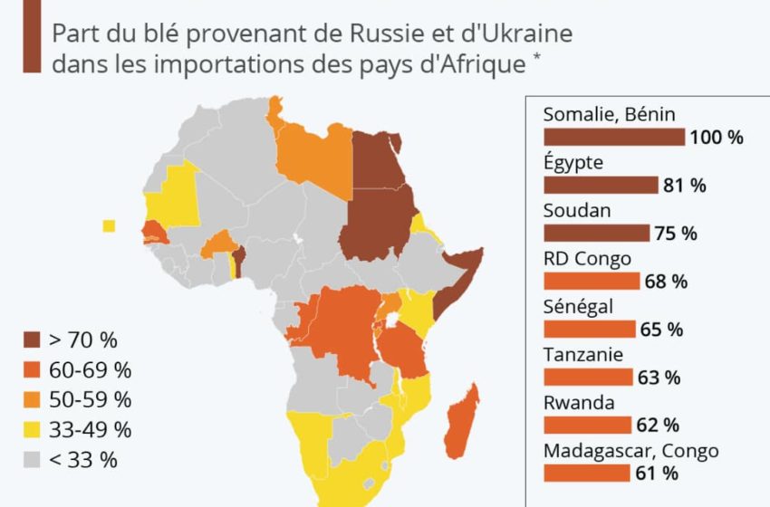  Guerre Russie-Ukraine : les importations de l’Afrique subsaharienne en danger