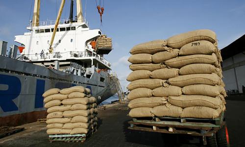  Russie et Ukraine : les exportations et importation du Cameroun en chute libre