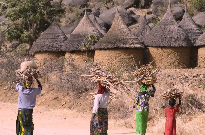  Mayo Tsanga : un mort après une attaque de Boko Haram