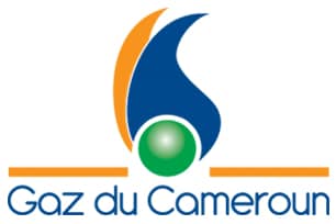  Gaz du Cameroun : contraint à payer 7,4 milliards de FCFA à RSM Corporation