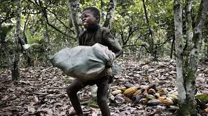  Cameroun-Lutte contre le travail forcé des enfants : le gouvernement accentue la sensibilisation