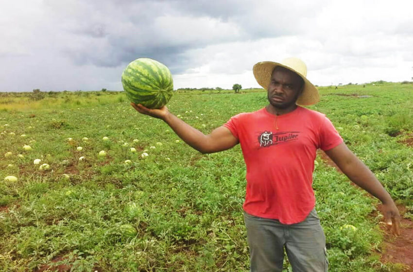  Agriculture : un concours pour valoriser le made in Cameroon
