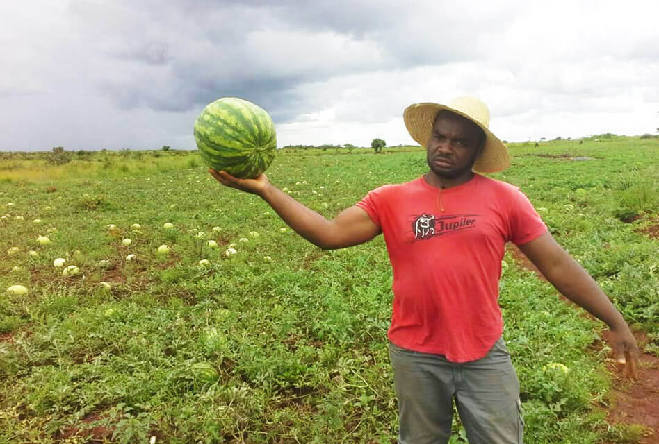 Agriculture : un concours pour valoriser le made in Cameroon. Actualités au Cameroun