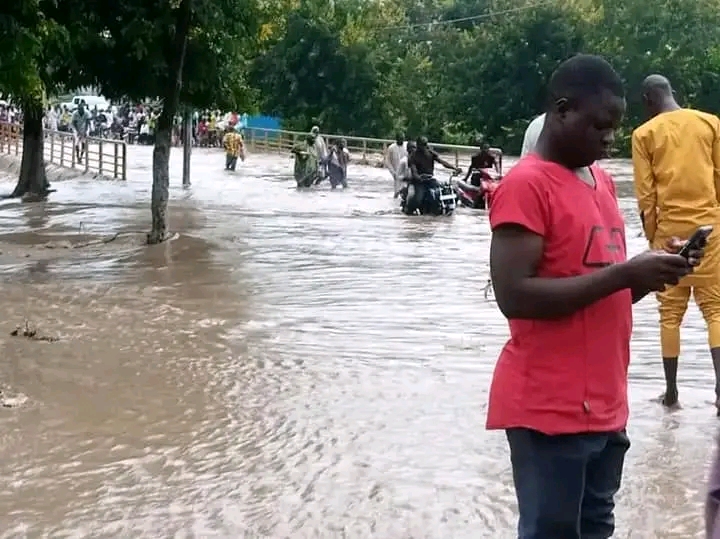  Extrême-Nord: la ville de Mokolo envahie par les eaux.