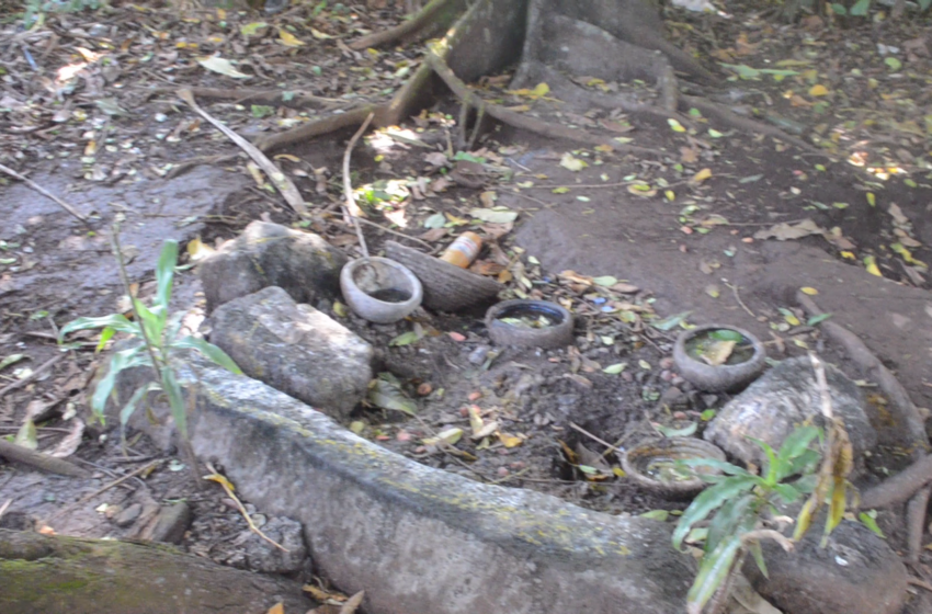  CAMEROUN/RDC : la perte des forêts sacrées préoccupe.