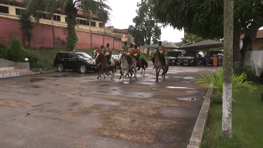 Course de chevaux: une trentaine de médailles pour le Cameroun en 2024. Actualité du Cameroun