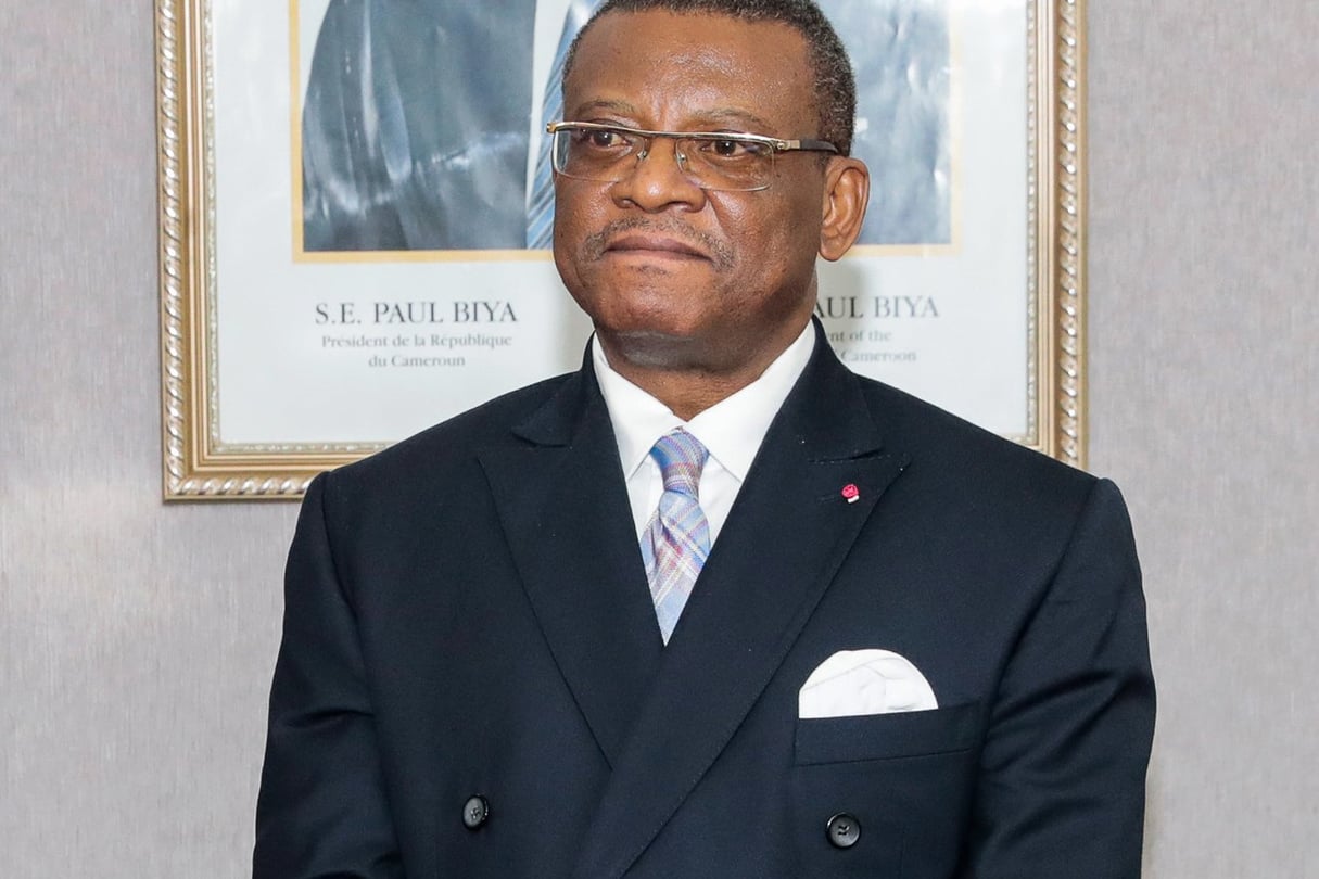 Image frauduleuse : la mise en garde de Joseph Dion Ngute. Actualité du Cameroun