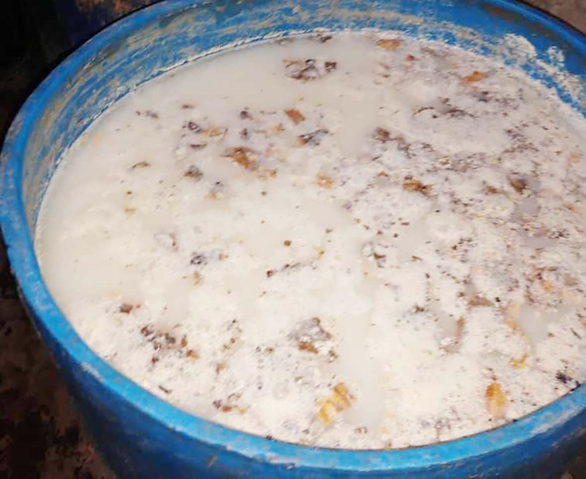 Douala : une usine clandestine de vin de palme frelaté démantelée