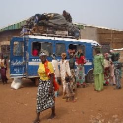 Adamaoua : Un homme armé tue 7 personnes à Bélel. Actualités au Cameroun