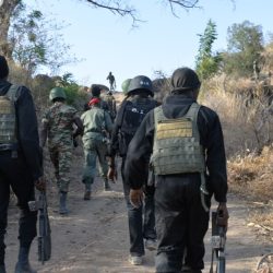 Extrême-Nord : 3 morts dans une attaque de Boko Haram. Actualité du Cameroun