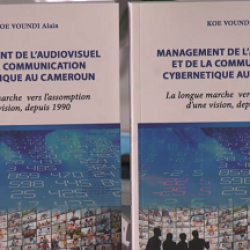 Audiovisuel et communication cybernétique : 30 ans de carence scrutées. Actualité du Cameroun