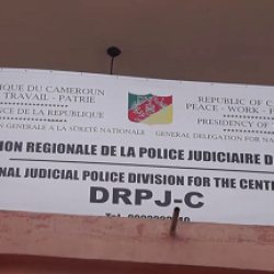 Yaoundé: la police met la main sur des cambrioleurs de véhicules. Actualité au Cameroun