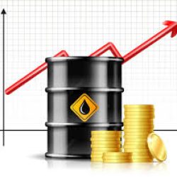 Hausse du prix du pétrole : le Cameroun en mauvaise posture. Actualités au Cameroun et à l'international