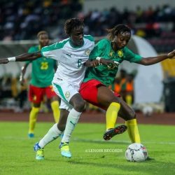 Foot féminin : le Cameroun accroché par le Sénégal en amical. Actualités au Cameroun