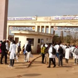 Universités d'État: les personnels d'appui en grève dès le 7 février 2024. Actualité au Cameroun