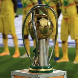 CHAN 2024 : l'edition reportée en février 2025. Actualité du Cameroun