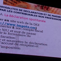 Revenus des particuliers : les autorités sensibilisées à la déclaration annuelle. Actualité au Cameroun