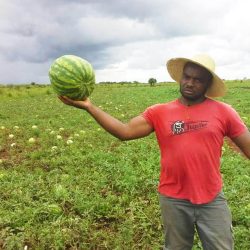 Agriculture : un concours pour valoriser le made in Cameroon. Actualités au Cameroun