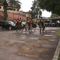 Course de chevaux: une trentaine de médailles pour le Cameroun en 2024. Actualité du Cameroun