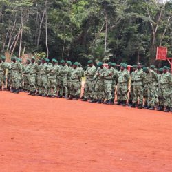 Maintien de la paix; 1070 casques bleus camerounais déployés à Bangui. Actualité au Cameroun