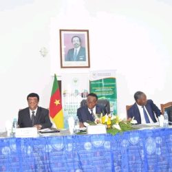 L'intégration : l’Afrique centrale  veut relever le défi. Actualité du Cameroun