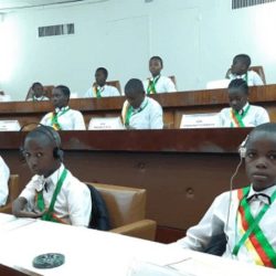 Paix et Cohésion sociale :les députés juniors se gavent de munitions. Actualités au Cameroun