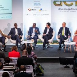 Forum africain de l’énergie de 2024 : des solutions annoncées pour le secteur de l'électricité. actualité en Afrique