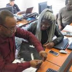 Insertion professionnelle :sur les pistes des solutions pour les jeunes diplômés en Afrique subsaharienne. Actualités au Cameroun et à l'international