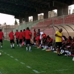 Cameroun-Namibie : un ultimatum aux Lions Indomptables. Actualité du Cameroun