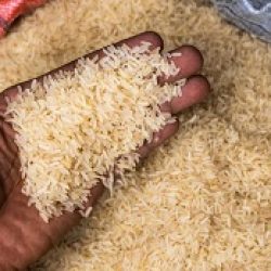 Panier de la ménagère : le prix du kg de riz revu à la baisse. Actualité au Cameroun