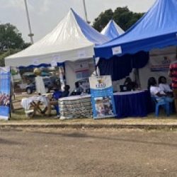 Village jeunesse: vitrine du made in Cameroon. Actualité au Cameroun